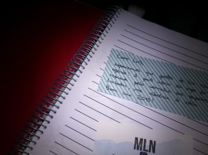 Inside cover inpired on Louboutin | Agenda 2015 of D'Oliveira Fashion Blog